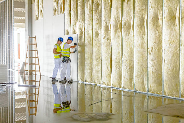 Best Types of Insulation in Nescopeck, PA